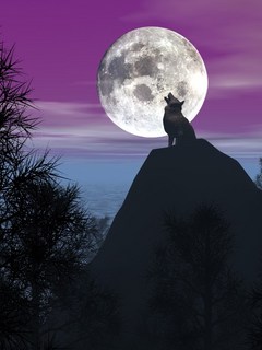 Other Wallpapers 0769